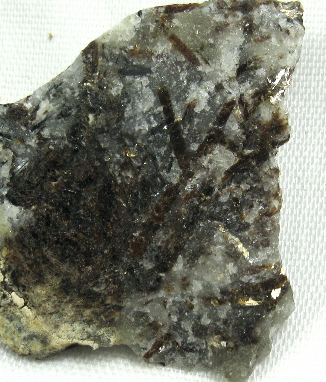 Astrophyllite