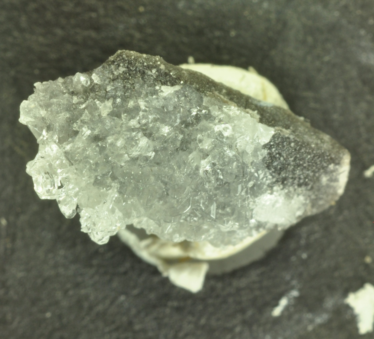 Uklonskovite