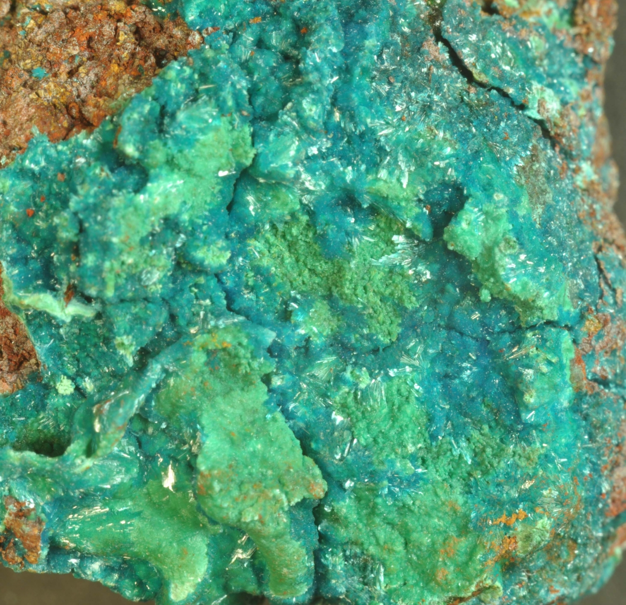 Serpierite & Malachite