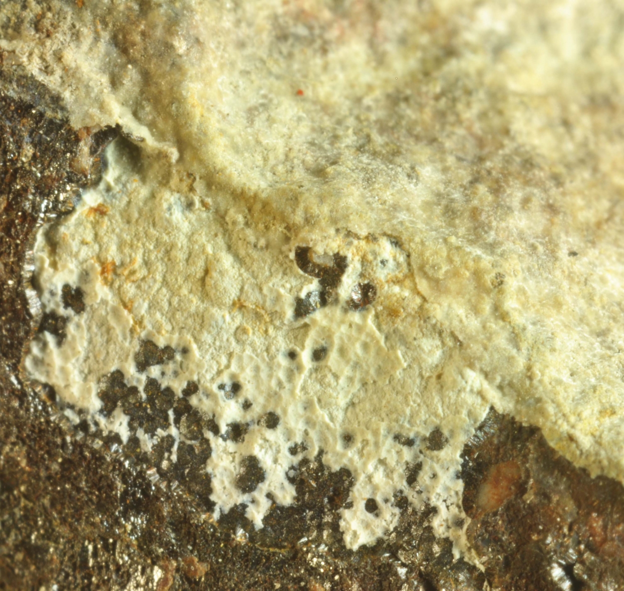 Gibbsite