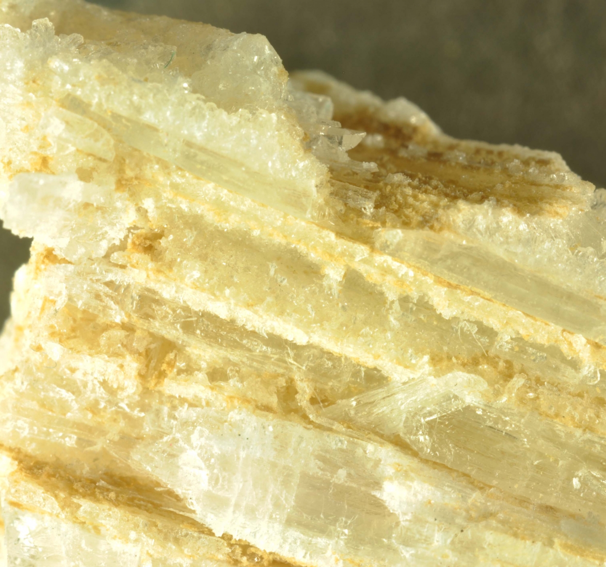 Scolecite