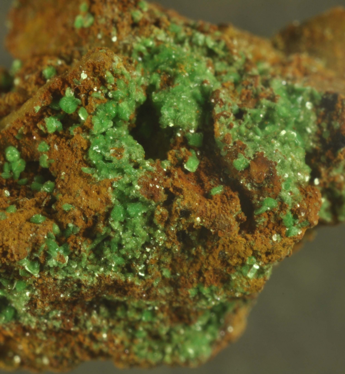 Torbernite