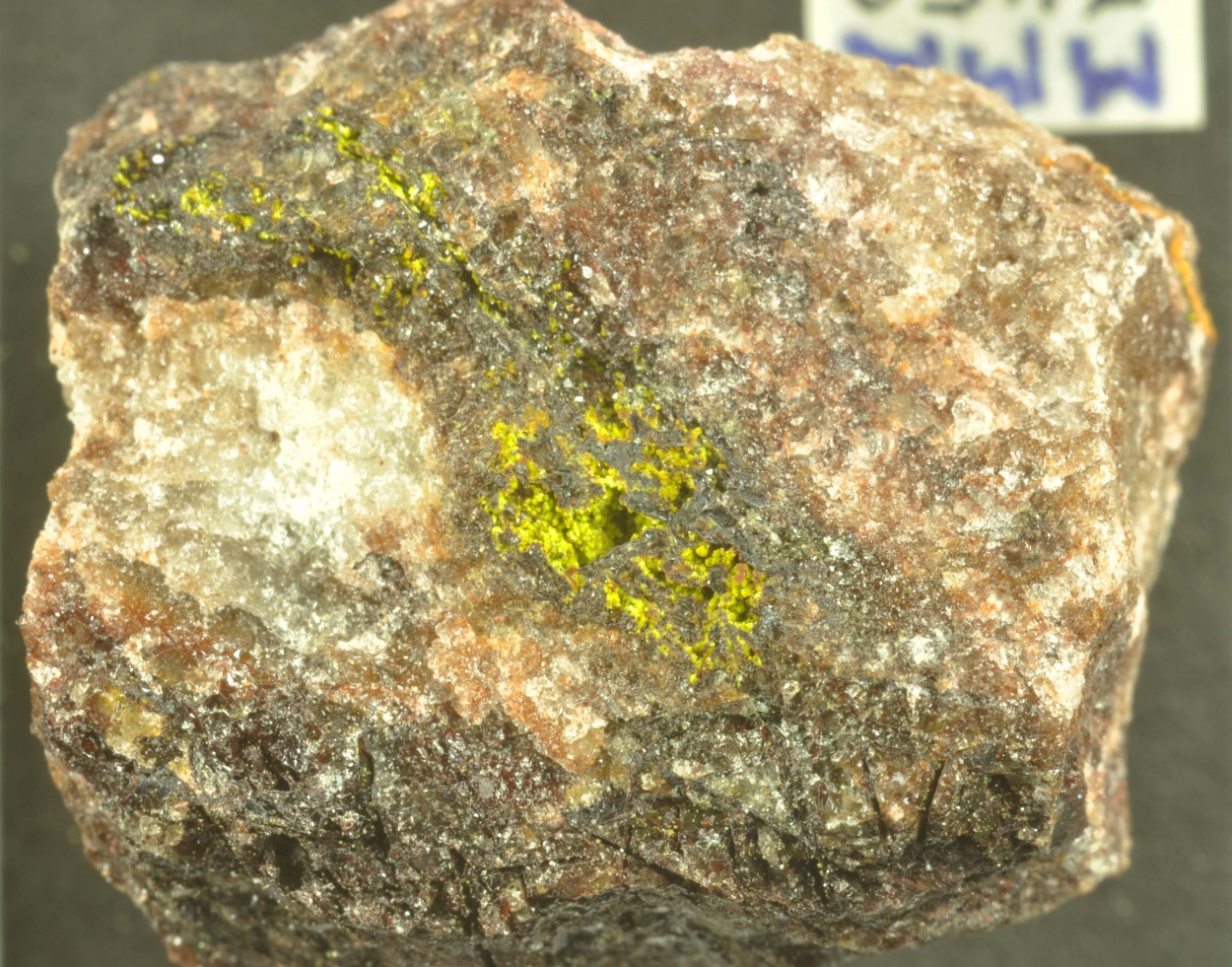 Volborthite