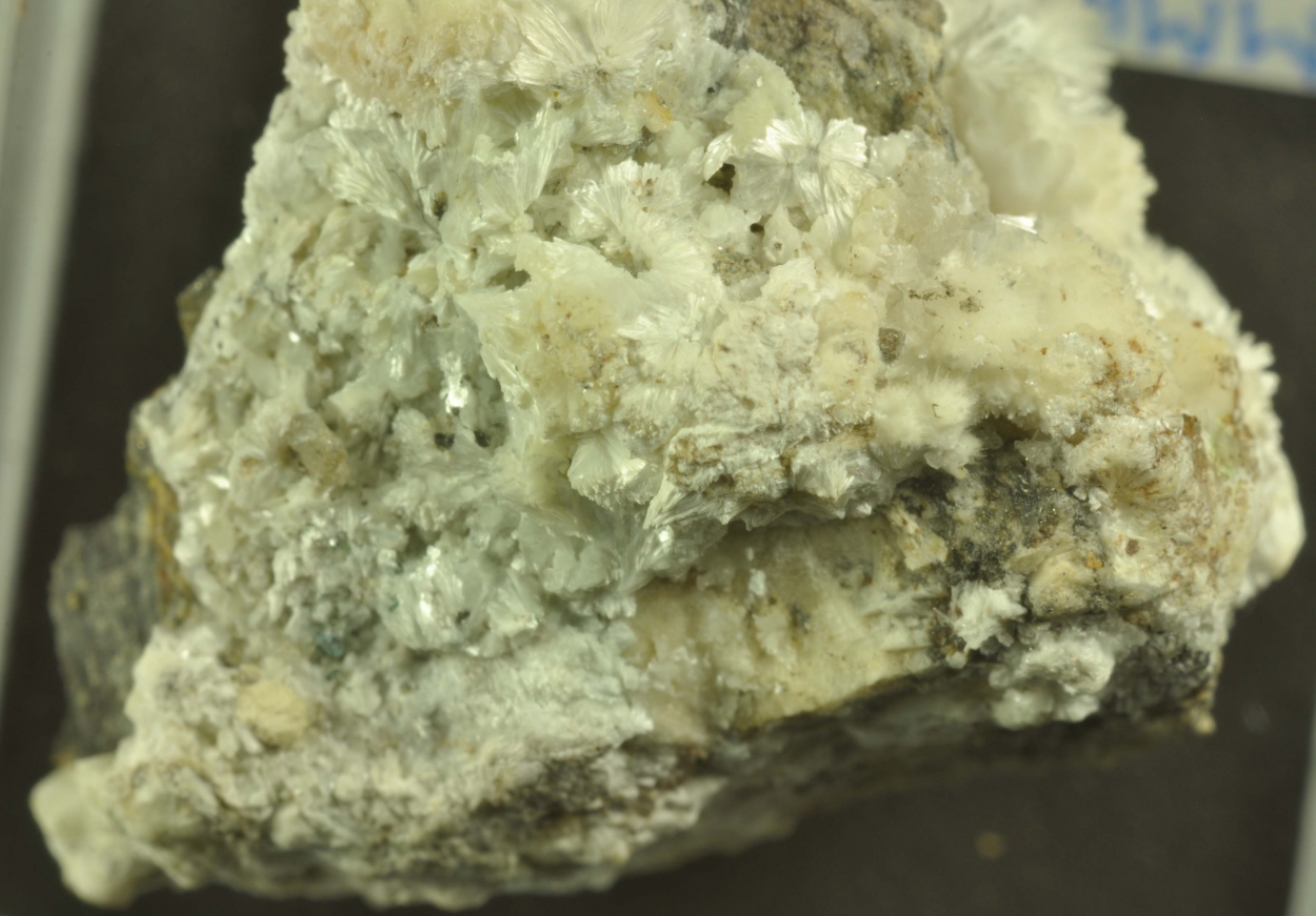 Picropharmacolite