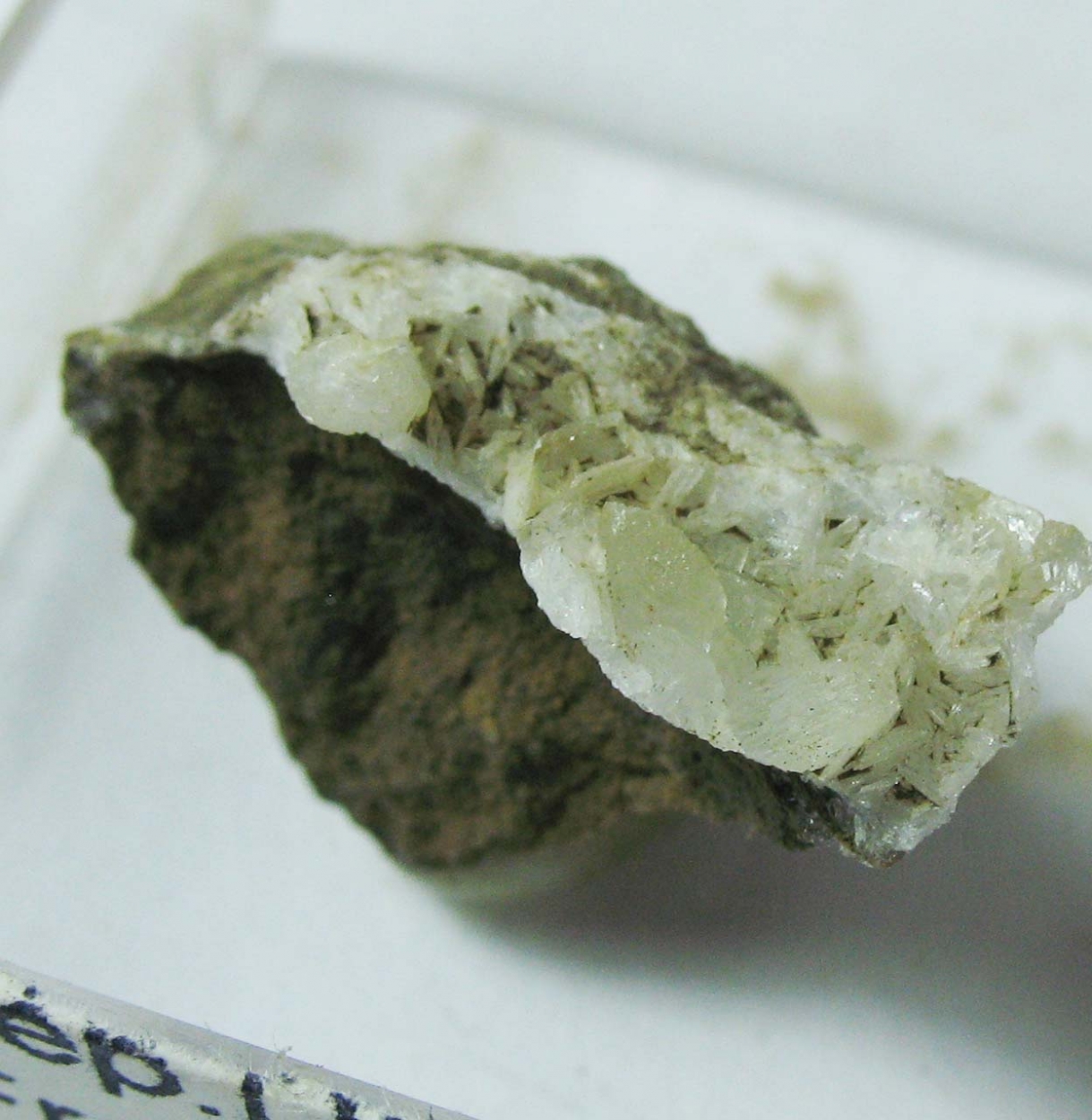 Tunisite