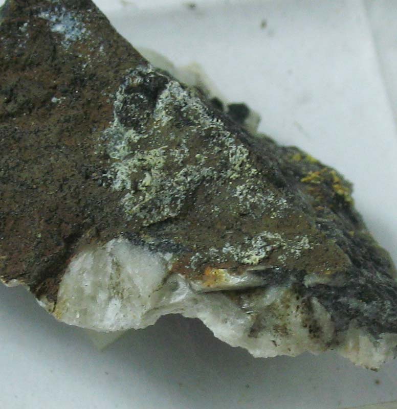 Znucalite