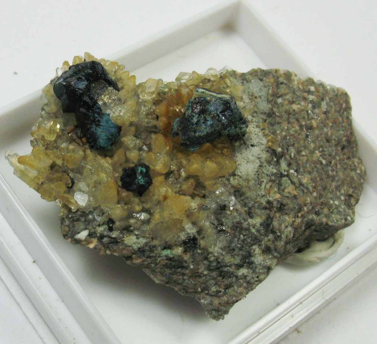 Bornite