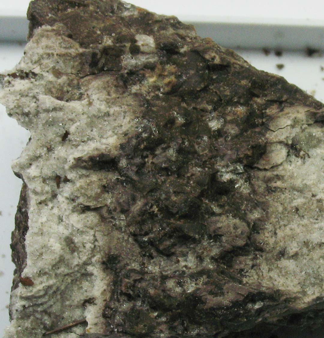 Barroisite