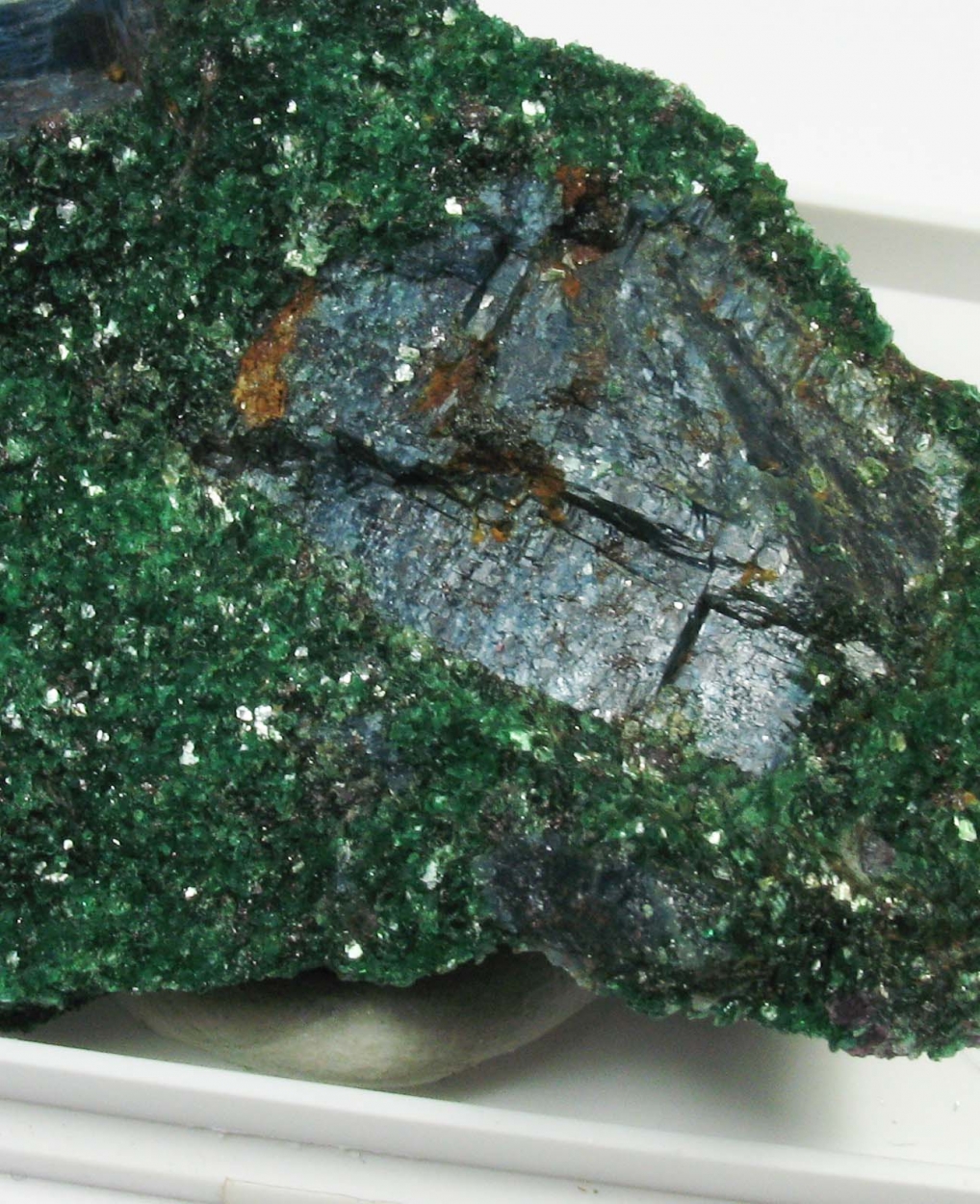 Kyanite In Fuchsite