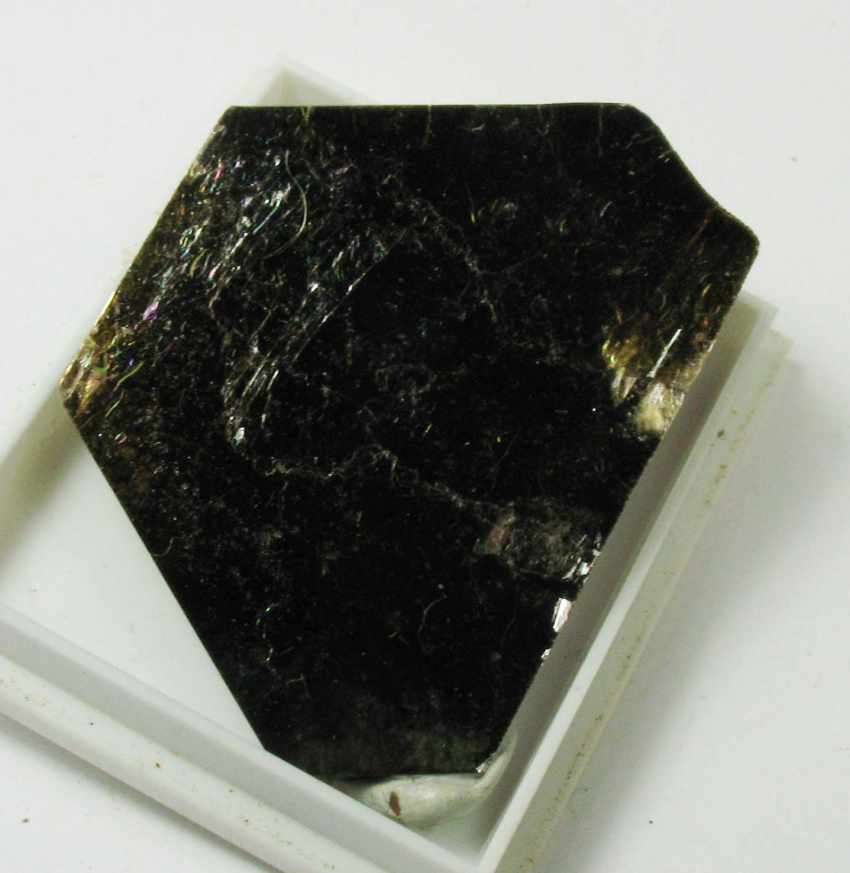 Phlogopite