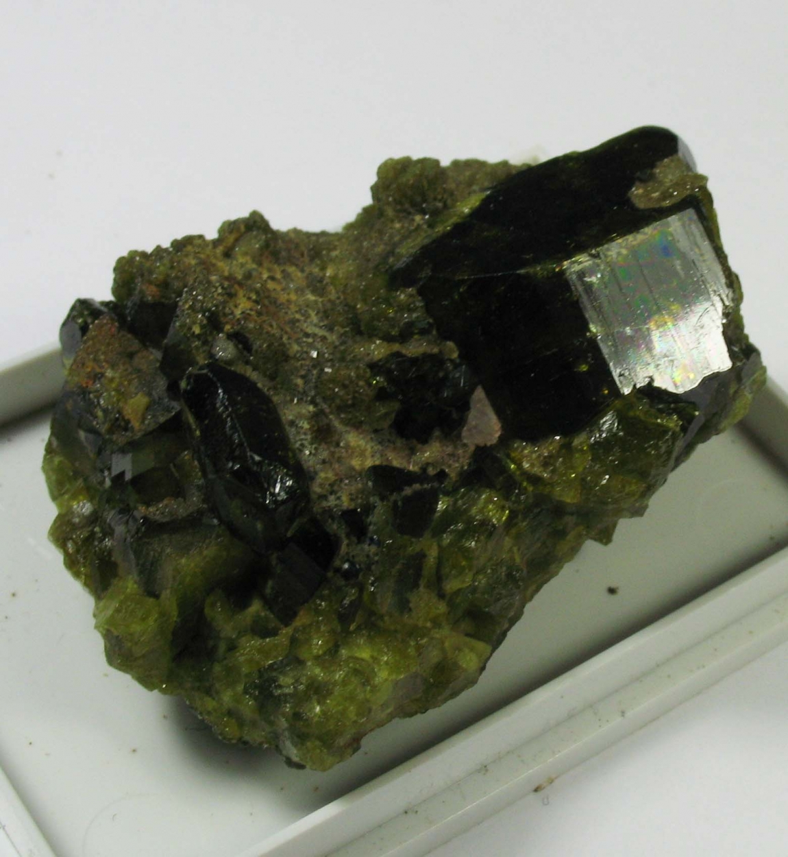 Andradite & Epidote