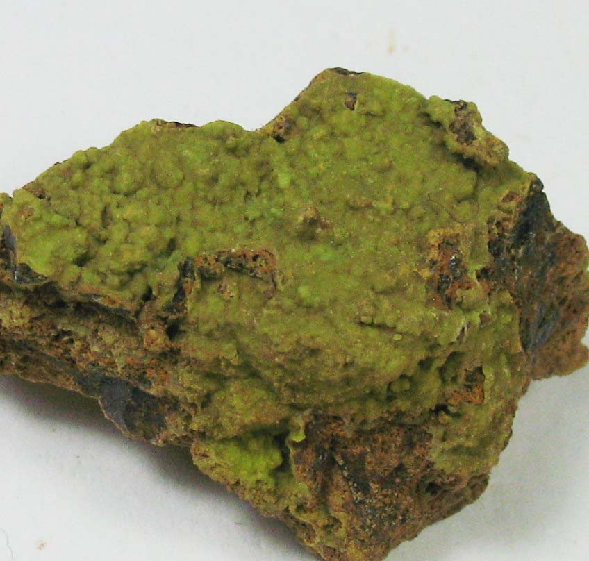 Hidalgoite