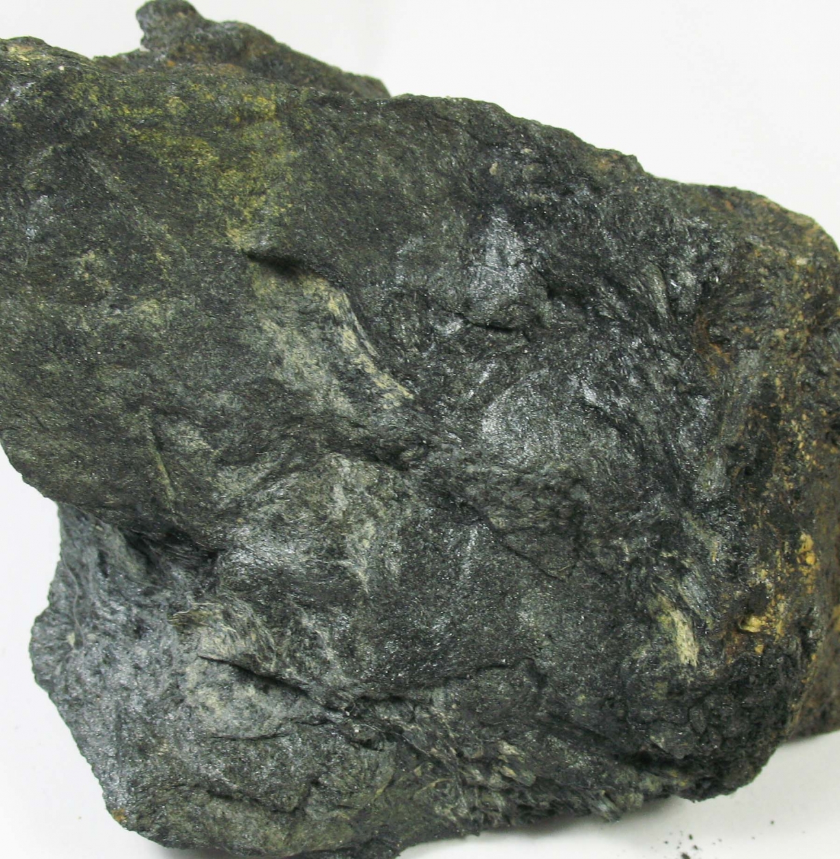 Ludwigite