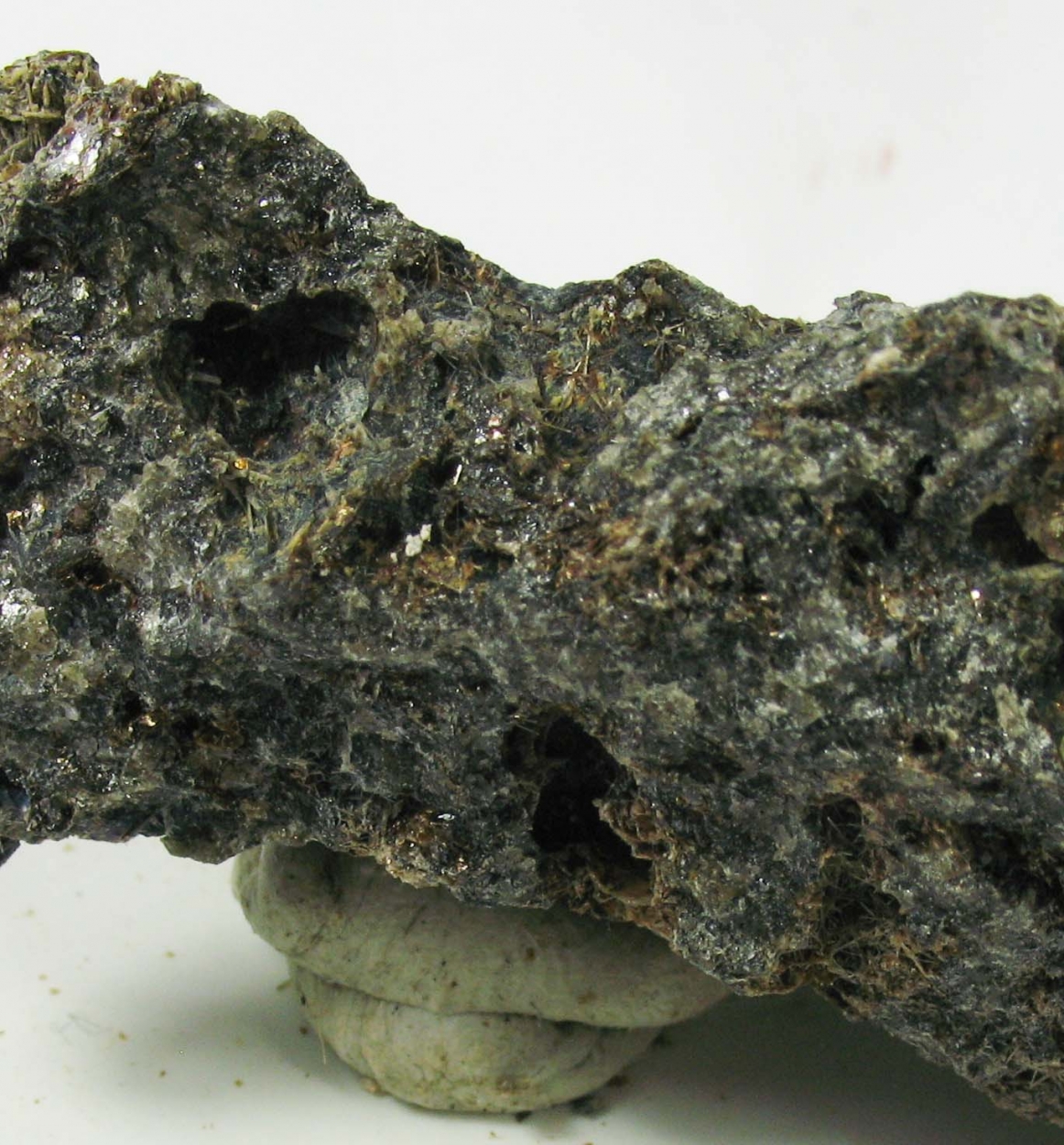 Umbrianite & Kalsilite & Fluorophlogopite