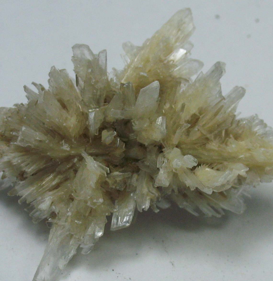 Gypsum