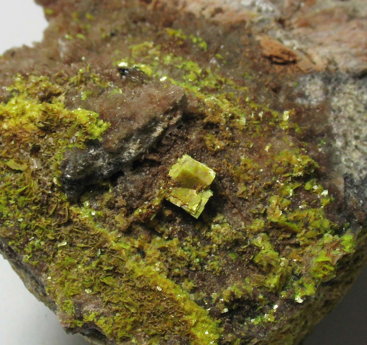 Uranocircite