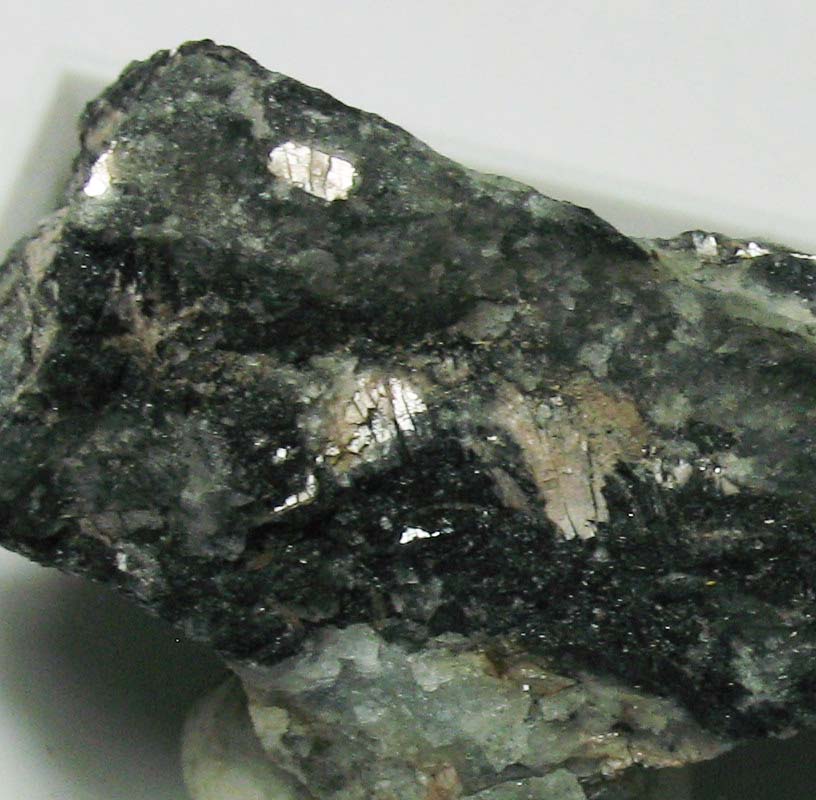 Murmanite