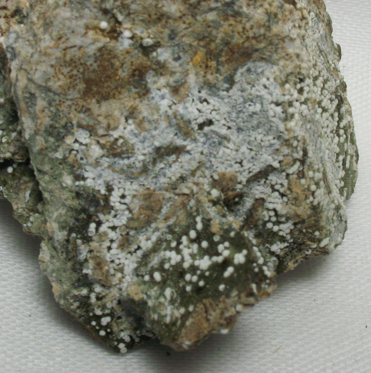 Garronite-Ca & Phillipsite