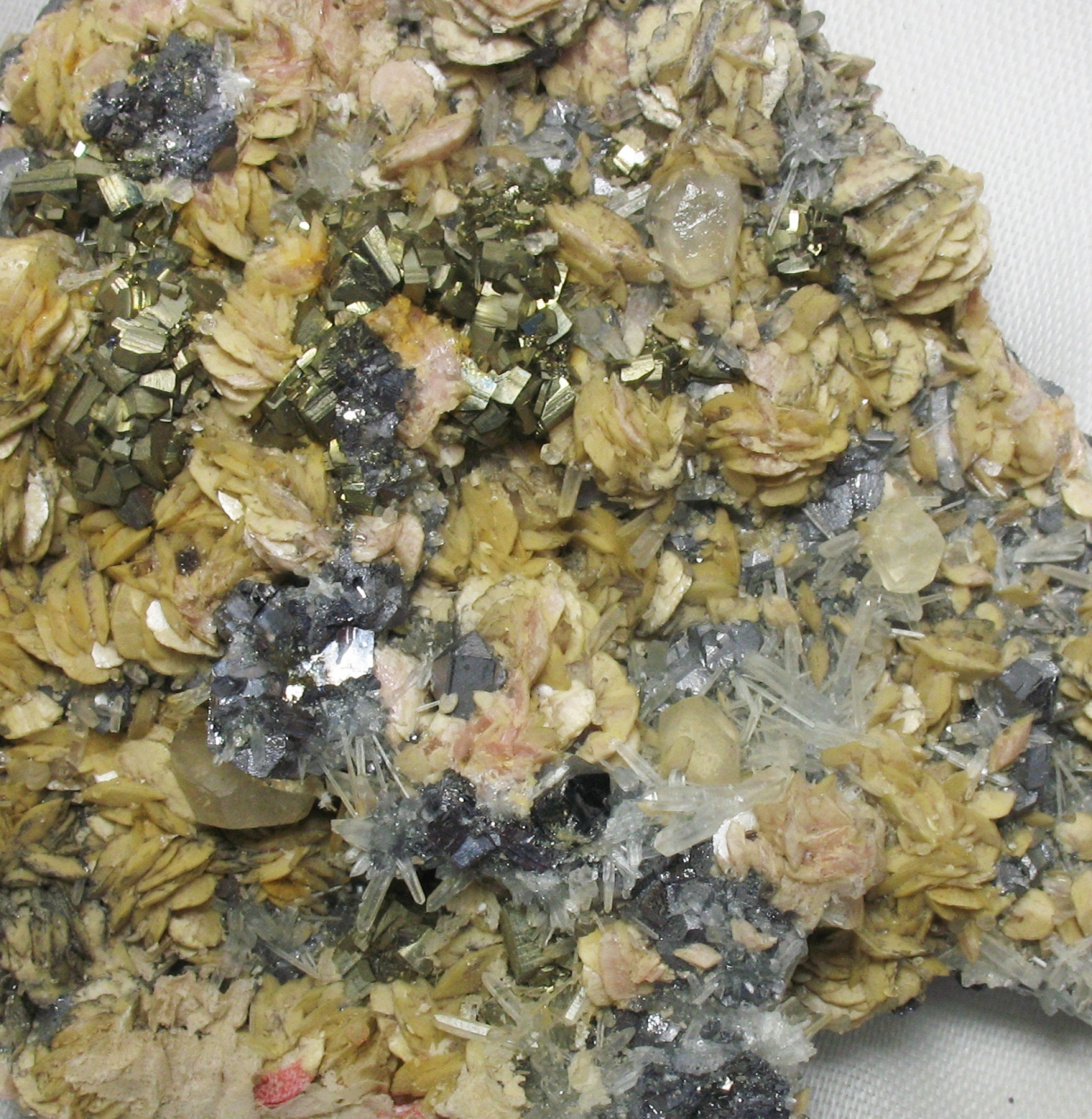 Rhodochrosite & Calcite & Pyrite & Quartz