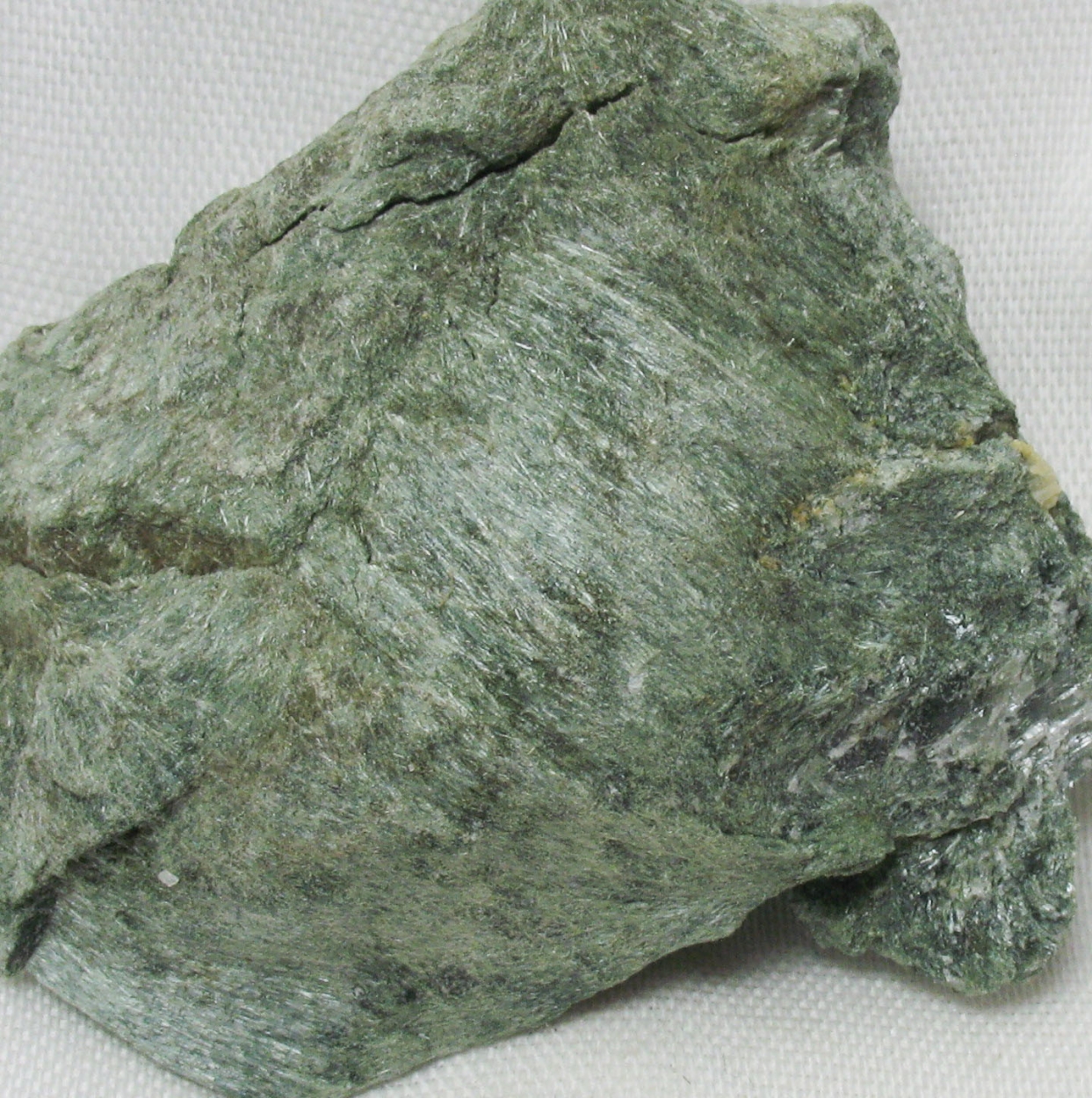 Actinolite