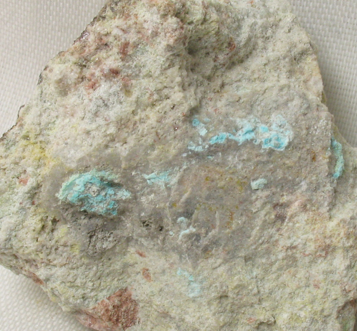 Alamosite