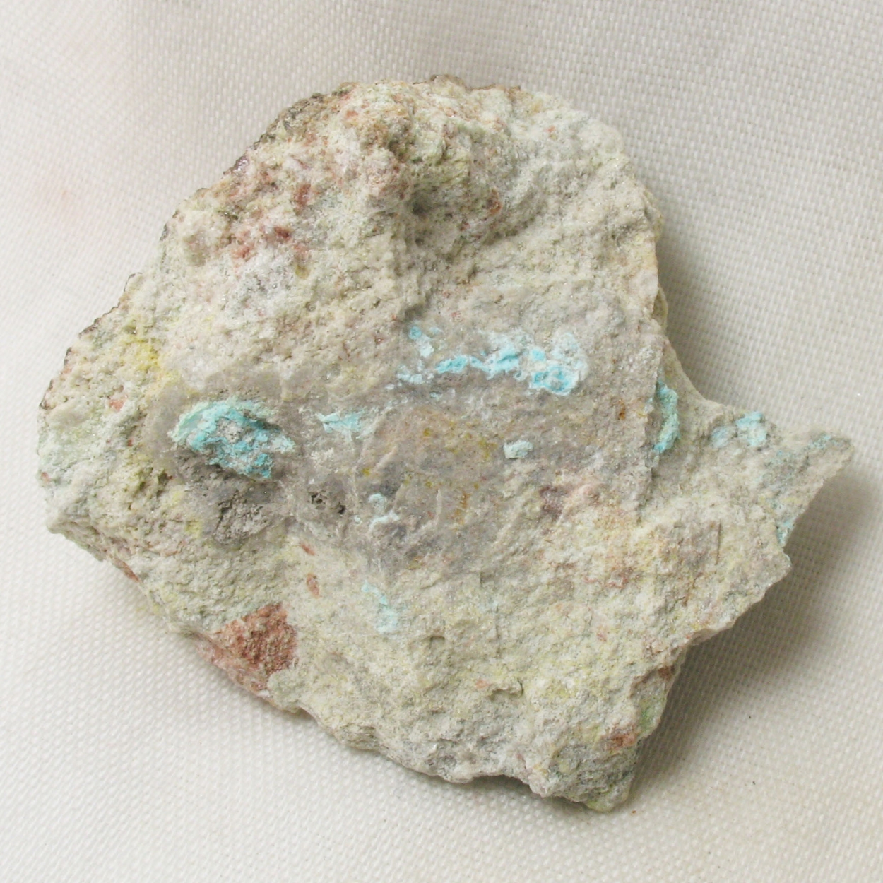 Alamosite