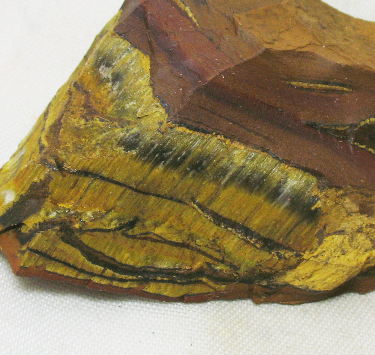 Tiger's Eye