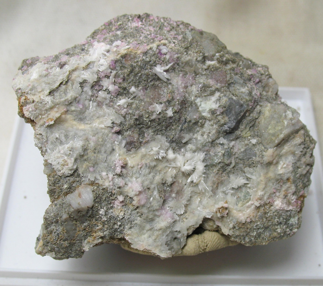 Pharmacolite & Sainfeldite