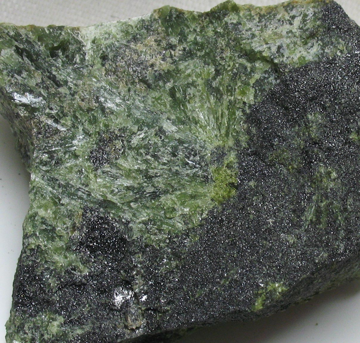 Magnetite In Actinolite