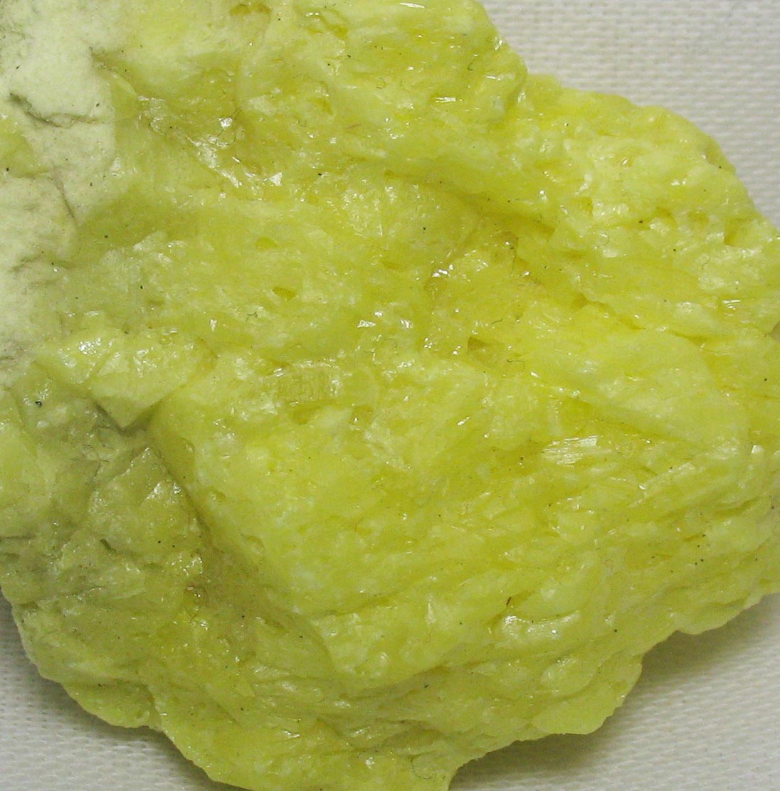 Native Sulphur