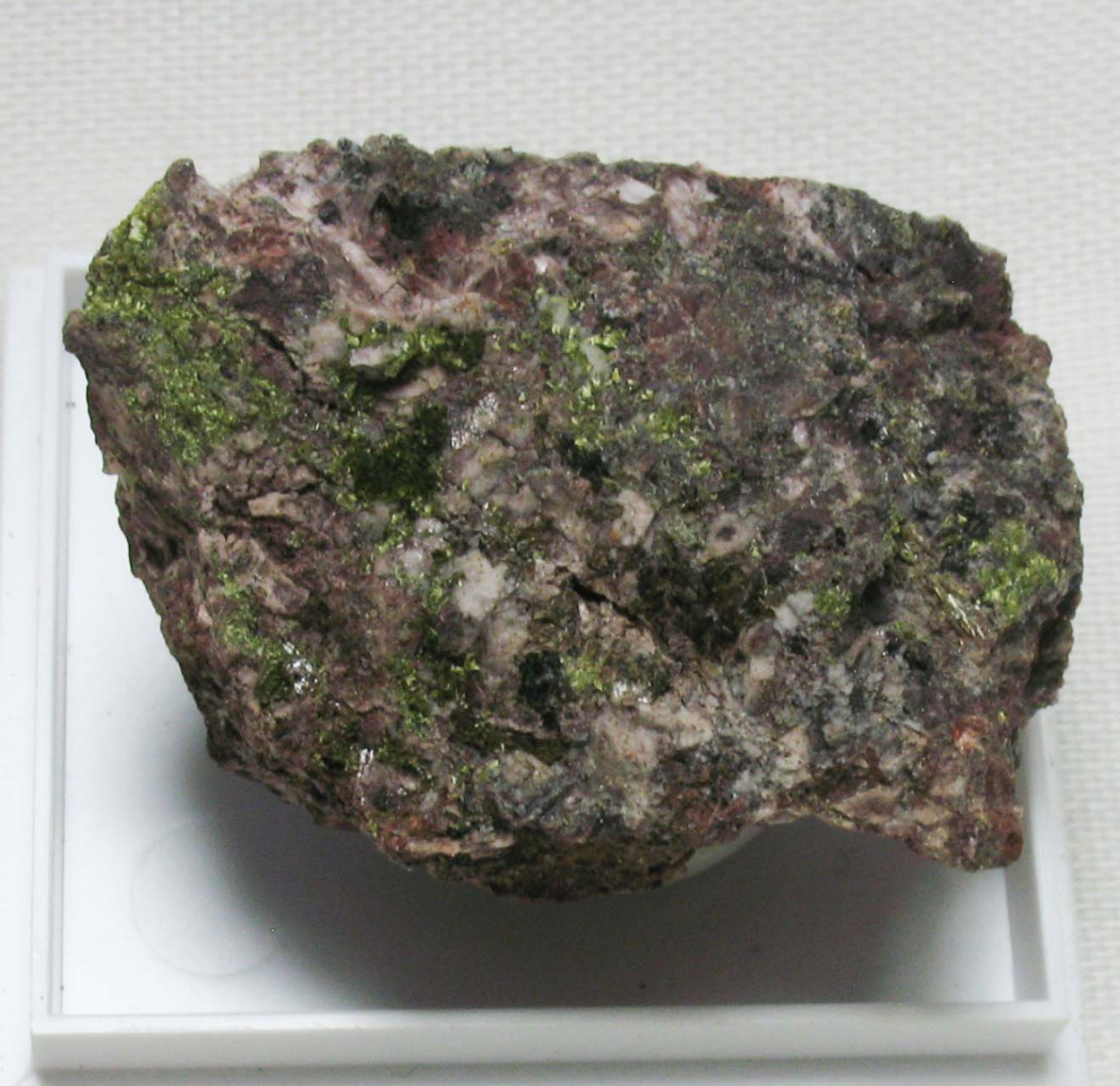 Pumpellyite-(Fe) & Epidote