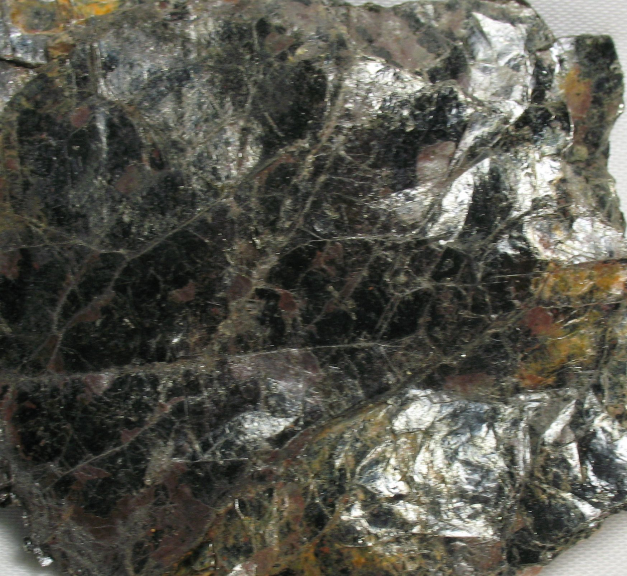 Biotite