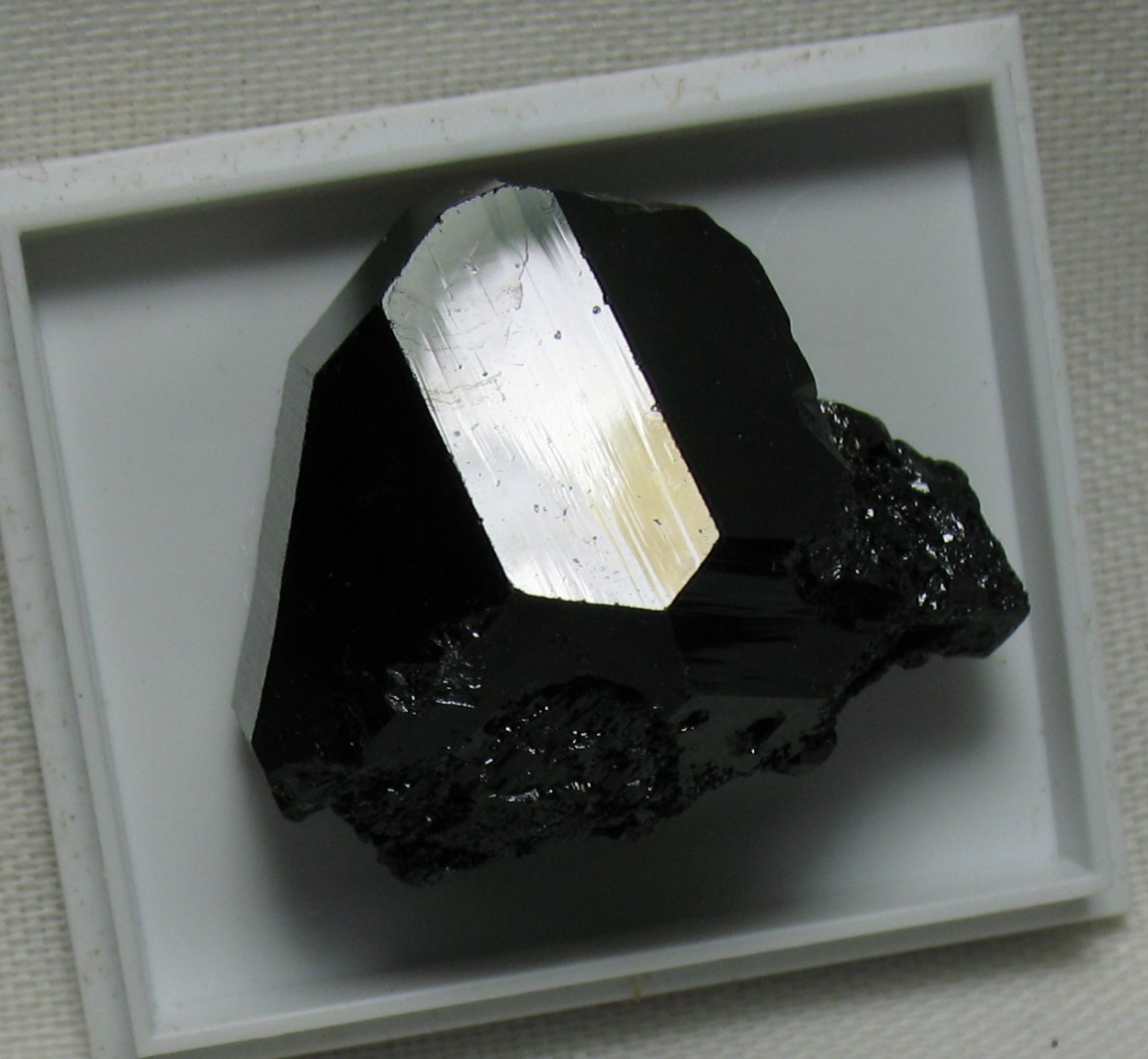 Schorl