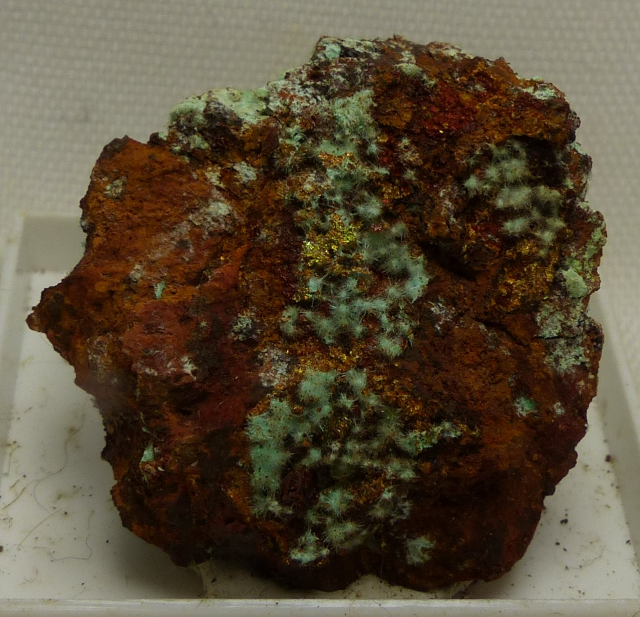 Agardite-(La)