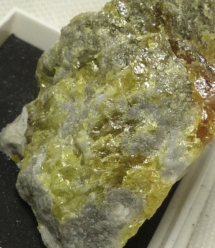 Native Sulphur