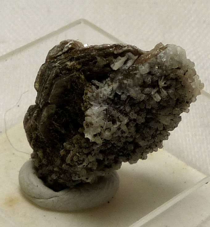 Birnessite & Natrolite On Polylithionite