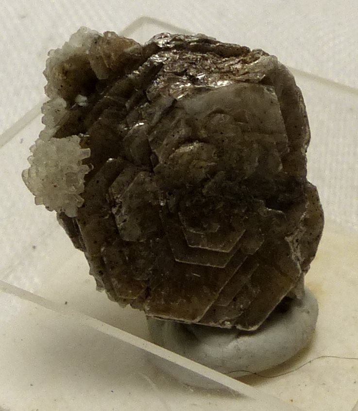 Birnessite & Natrolite On Polylithionite