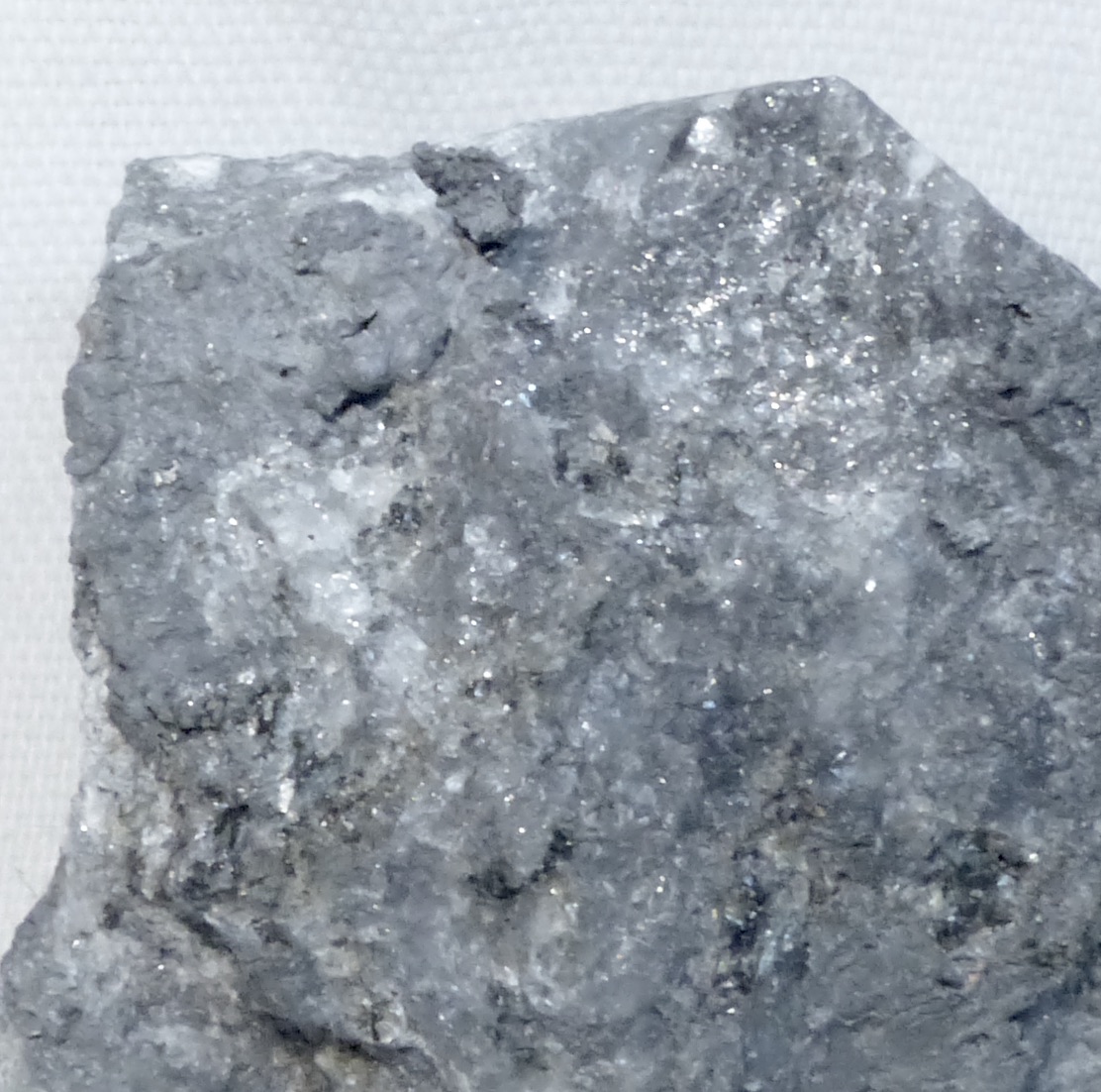 Native Lead