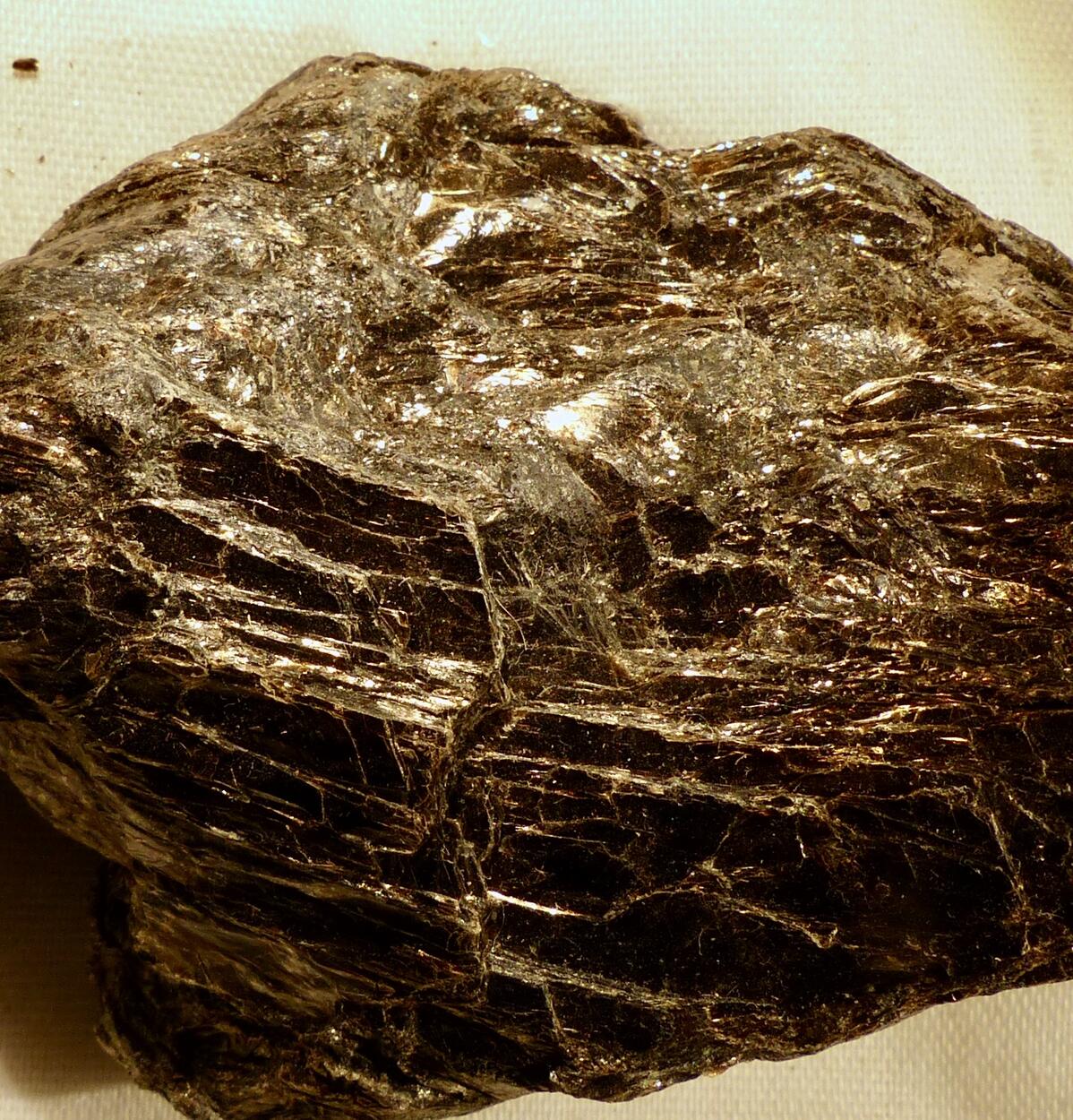 Phlogopite