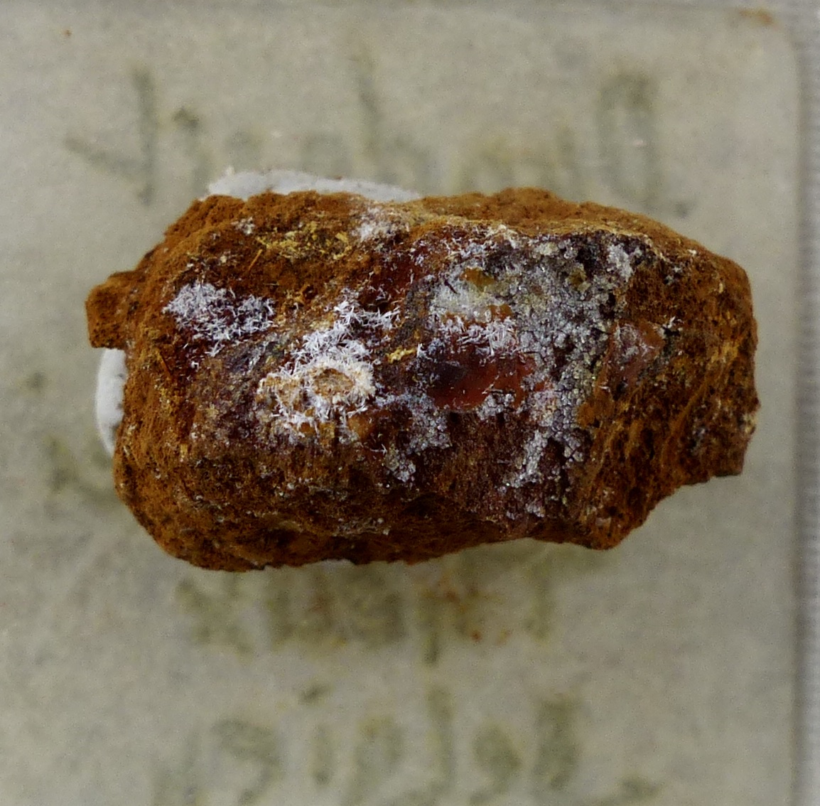 Dundasite