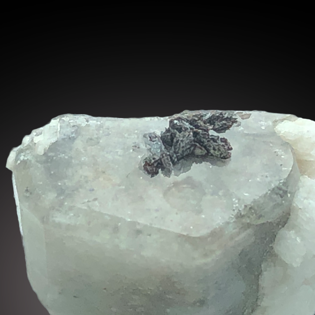 Apatite With Columbite-(Fe)