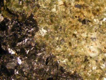 Manganoan Hedenbergite With Sphalerite