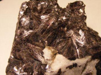 Trilithionite