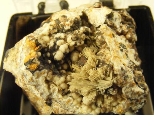 Gorceixite On Apatite