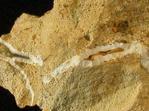 Aldermanite