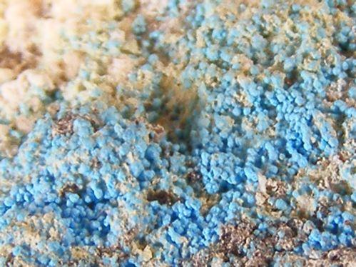 Decrespignyite-(Y)