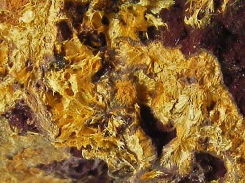 Kapundaite & Natrodufrénite