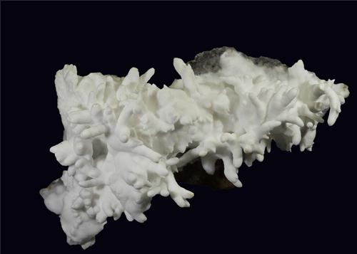 Aragonite Var Flos Ferri