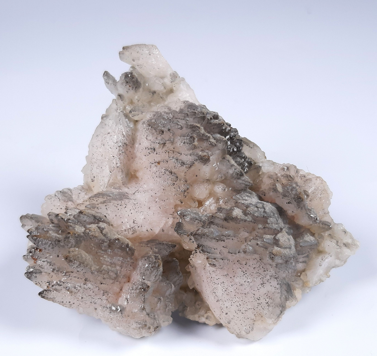 Calcite & Pyrite