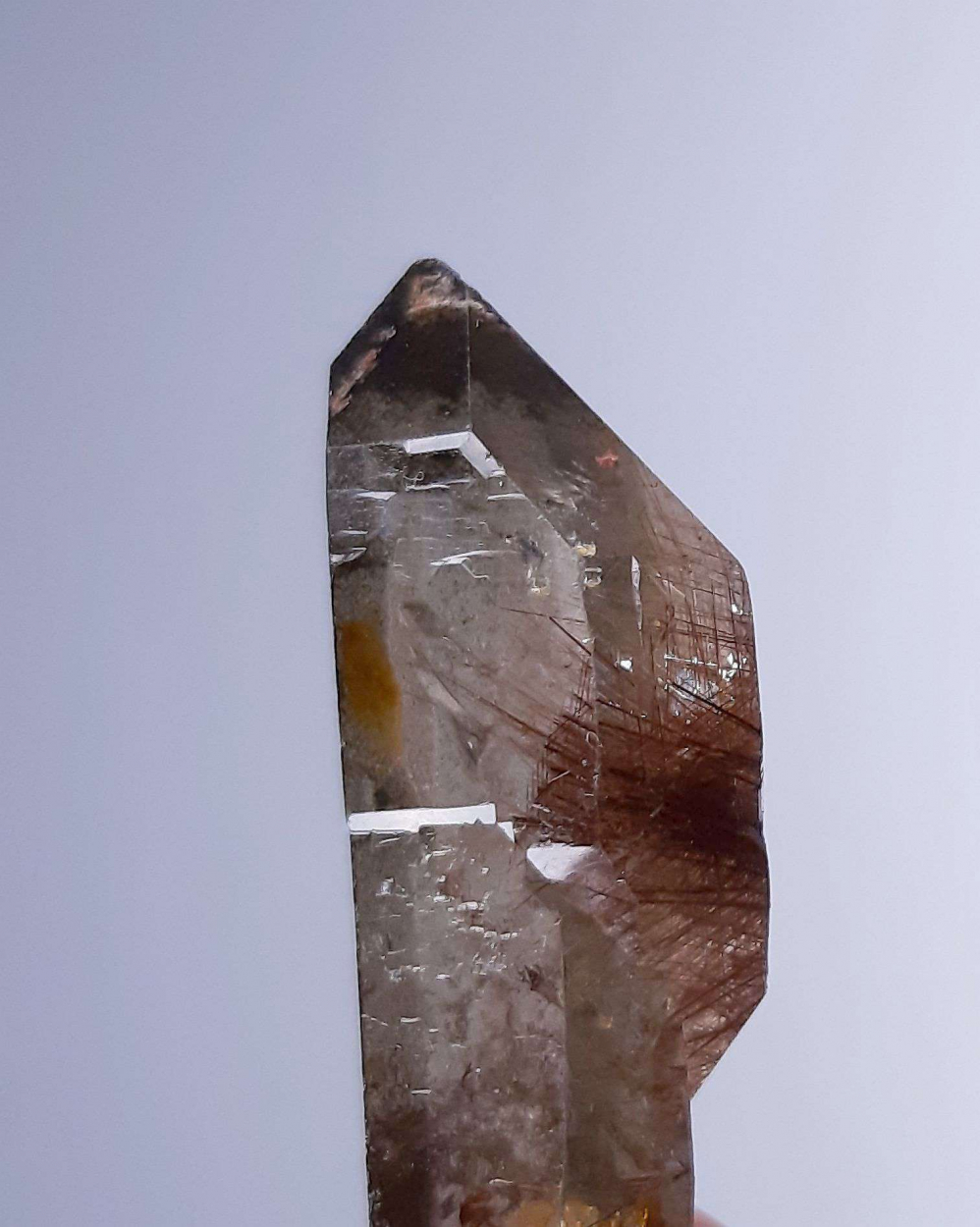 Rutilated Quartz